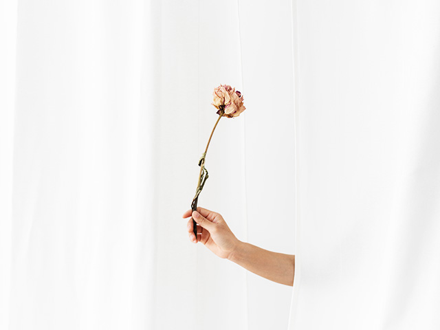 イメージ写真：Hue（ヒュー）