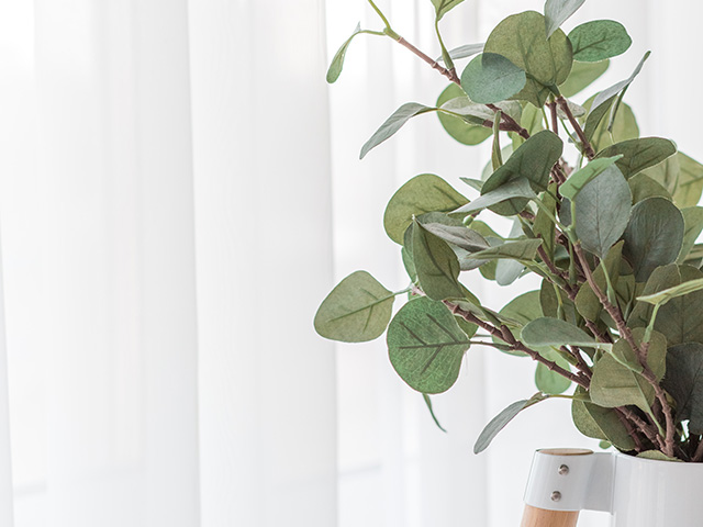 イメージ写真：Hue（ヒュー）